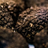 100% Crop of the Black Truffle Image