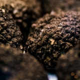 100% Crop of the Black Truffle Image