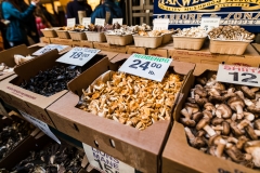 Selection of Mushrooms at Far West Fungi - San Francisco Ferry Building - California