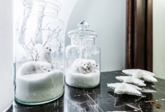 Bear in a Bottle - Four Seasons Hotel Gresham Palace - Budapest, Hungary
